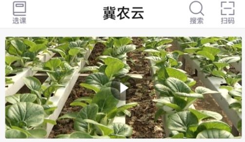 冀農(nóng)云app最新版