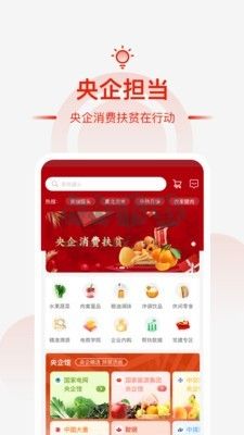 央企消費幫扶2024官方版
