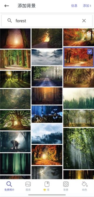 Adobe Express Pro 免費(fèi)版 v8.22.0