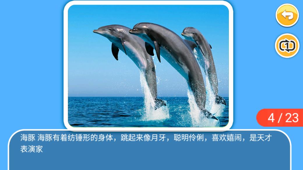 兒童寶寶海洋世界APP Android版