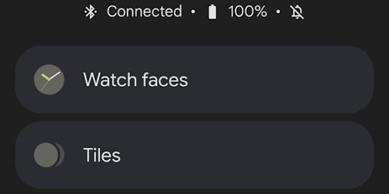 Google Pixel Watch最新版