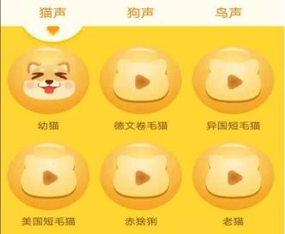 寵物翻譯器app中文版