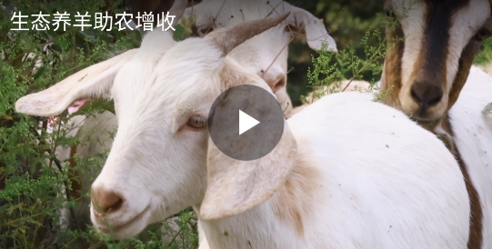 沿河融媒app官方版