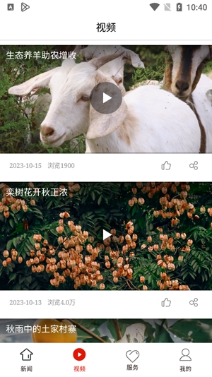 沿河融媒app官方版