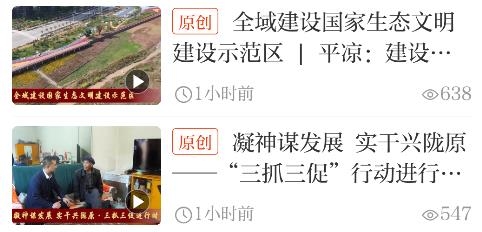 新平?jīng)鯽pp安卓版