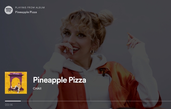 spotify tv版安裝包