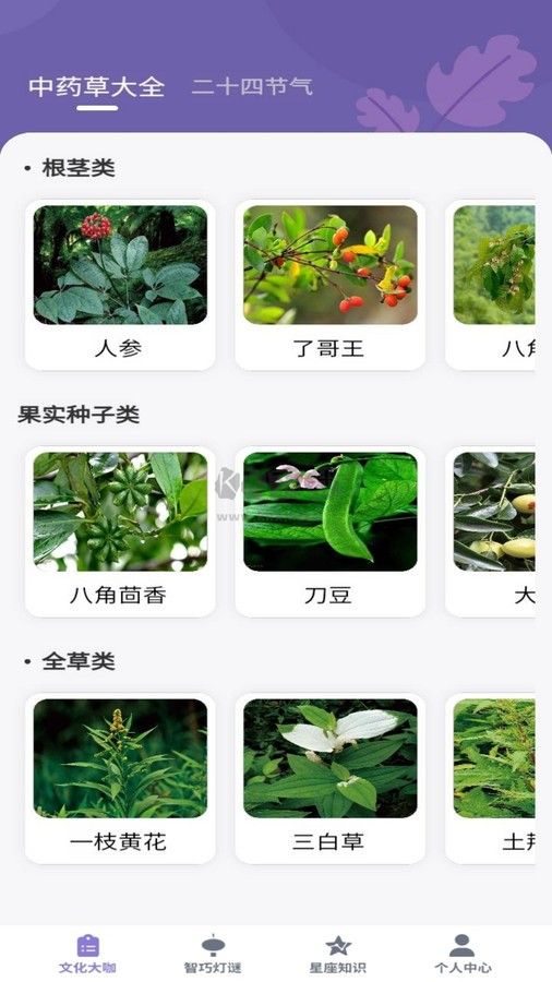 知識大咖APP展示