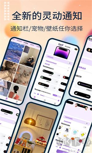 靈動塢app免會員版