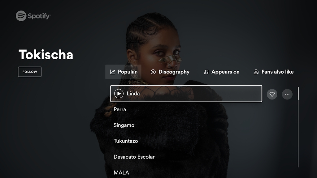Spotify TV版安裝文件