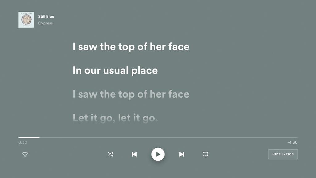 Spotify TV版安裝文件
