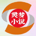 靈夢(mèng)小說(shuō)2024官方正版 v1.1.6 更新版