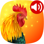 動(dòng)物手機(jī)鈴聲大全 v17.5 APP