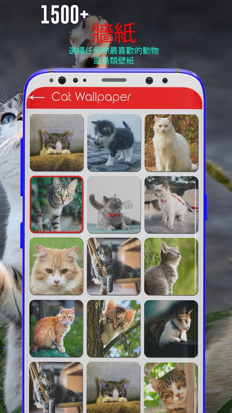 動物手機鈴聲大全 v17.5 APP