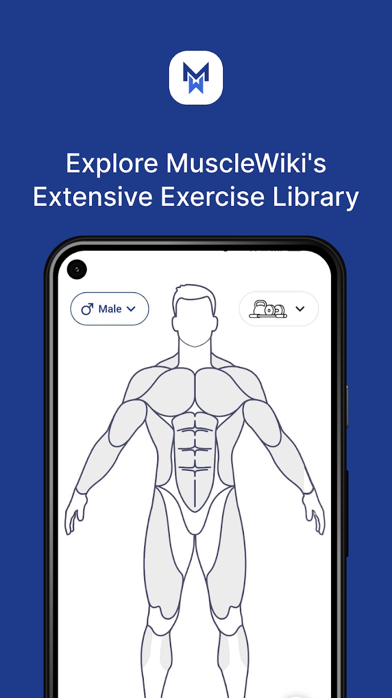 MuscleWiki Android應用程序
