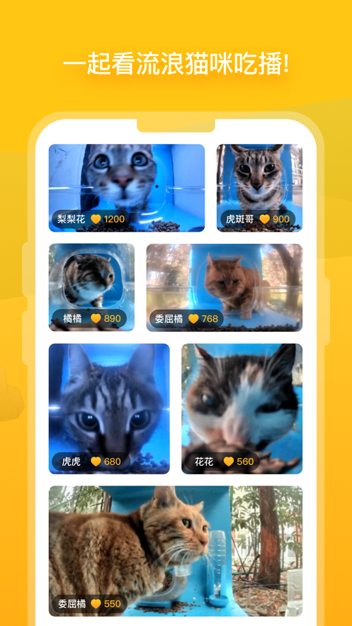 街貓APP官方版下載