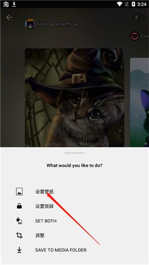 Zedge壁紙安卓官方版 v8.26.3 更新版