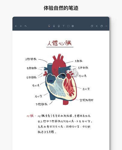 Noteful 2024 v8.2.5 安卓版