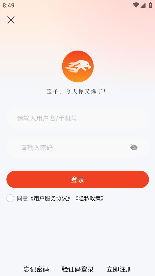右豹App安卓版本