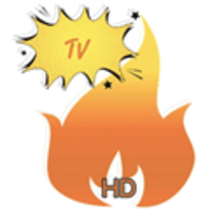 TV火炬?zhèn)}配置接口 V5.0.9