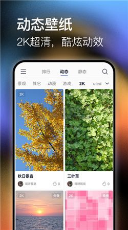 極壁紙官方版下載 v1.0.1