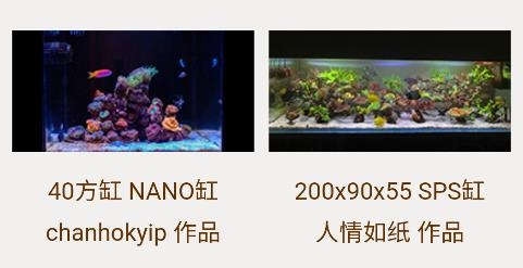 海友網(wǎng)安卓應(yīng)用下載