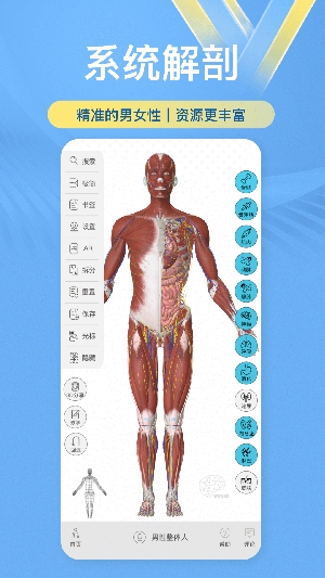 維薩里3D解剖App最新版