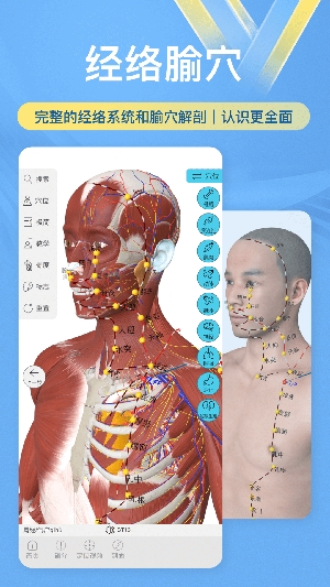 維薩里3D解剖App最新版