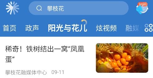 攀枝花開app最新版
