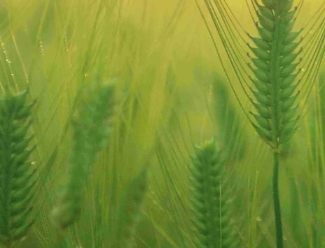 家庭農(nóng)場(chǎng)隨手記賬軟件 家庭農(nóng)場(chǎng)隨手記賬軟件