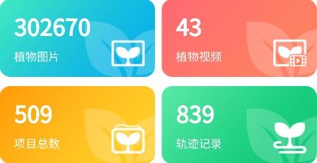 e科考app安卓版