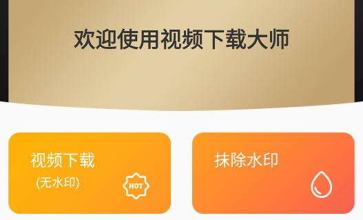 視頻下載大師軟件官方版