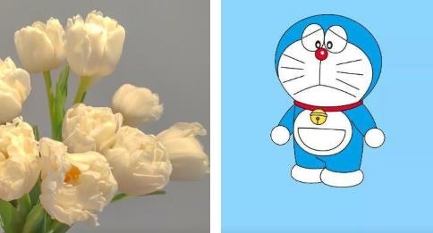 無(wú)憂壁紙app安卓版