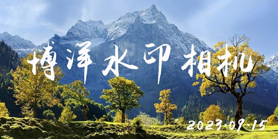 博洋水印相機app最新版