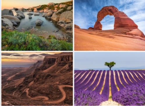 谷歌壁紙app官方版Google Wallpapers