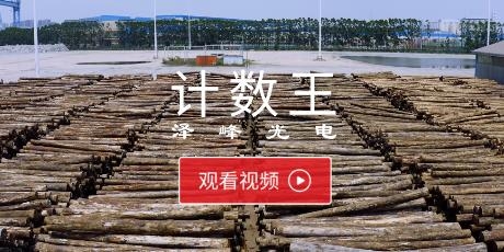測(cè)木王app最新版