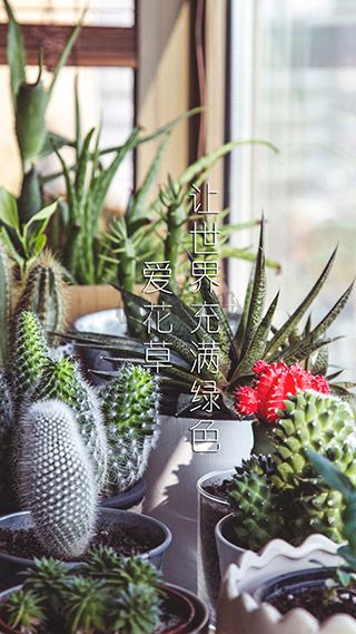 愛花草app最新手機版