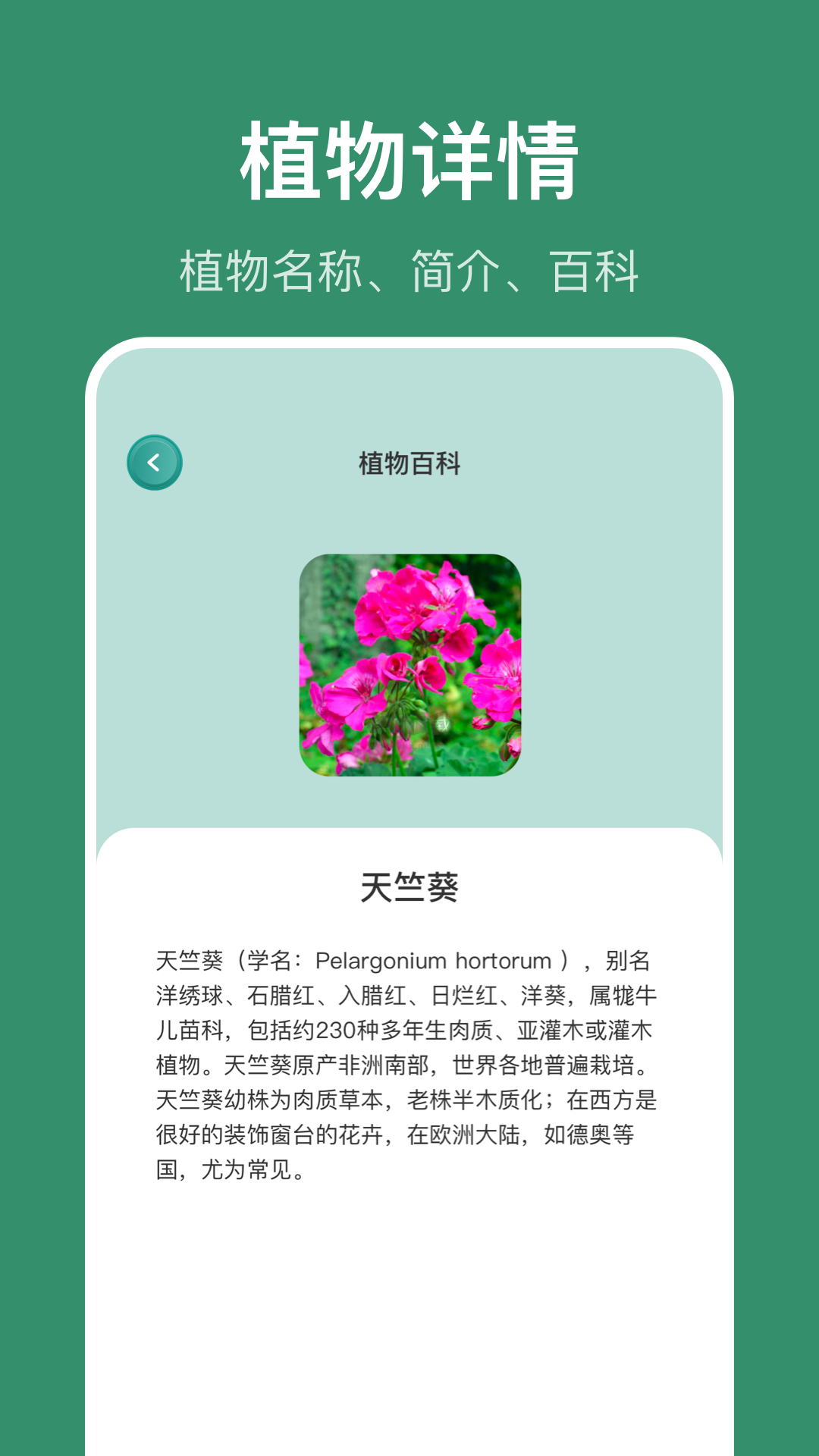 AI隨拍2024 v1.1 安卓版