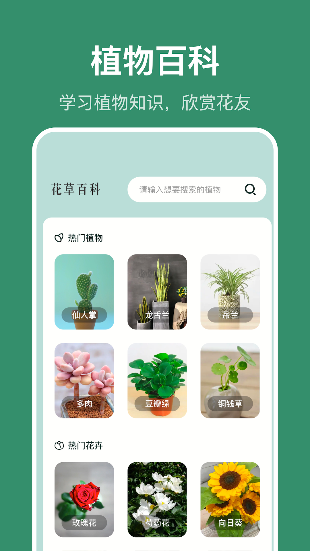 AI隨拍2024 v1.1 安卓版