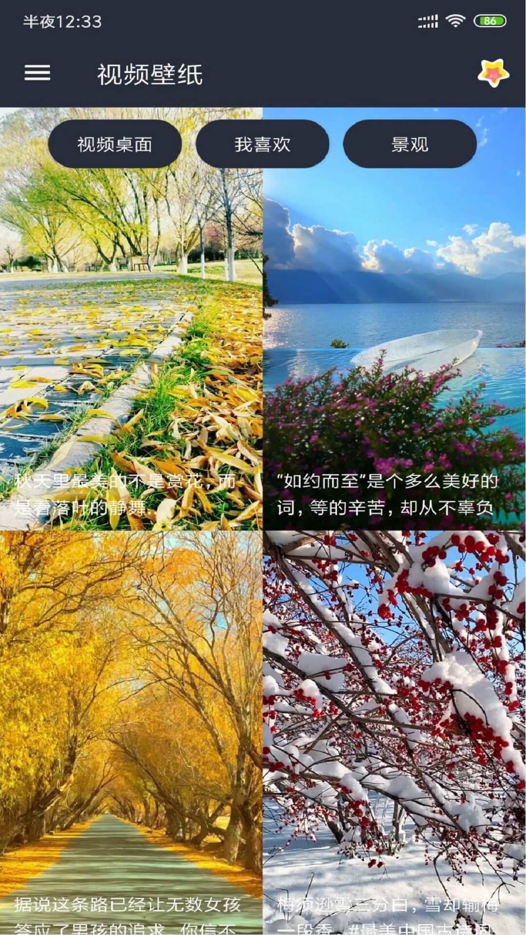 安果視頻壁紙官方版
