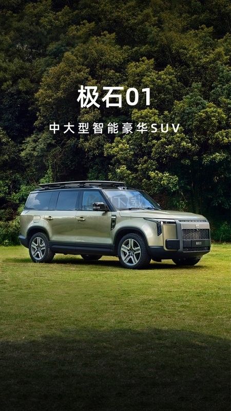 極石汽車(chē) v1.5.0 (掌上服務(wù)平臺(tái))