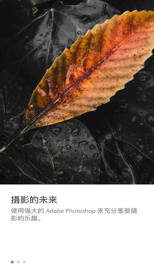 全能換臉相機(jī)應(yīng)用手機(jī)版