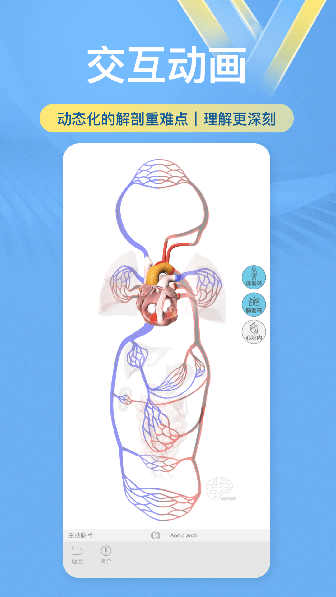 維薩里3D解剖應(yīng)用新版