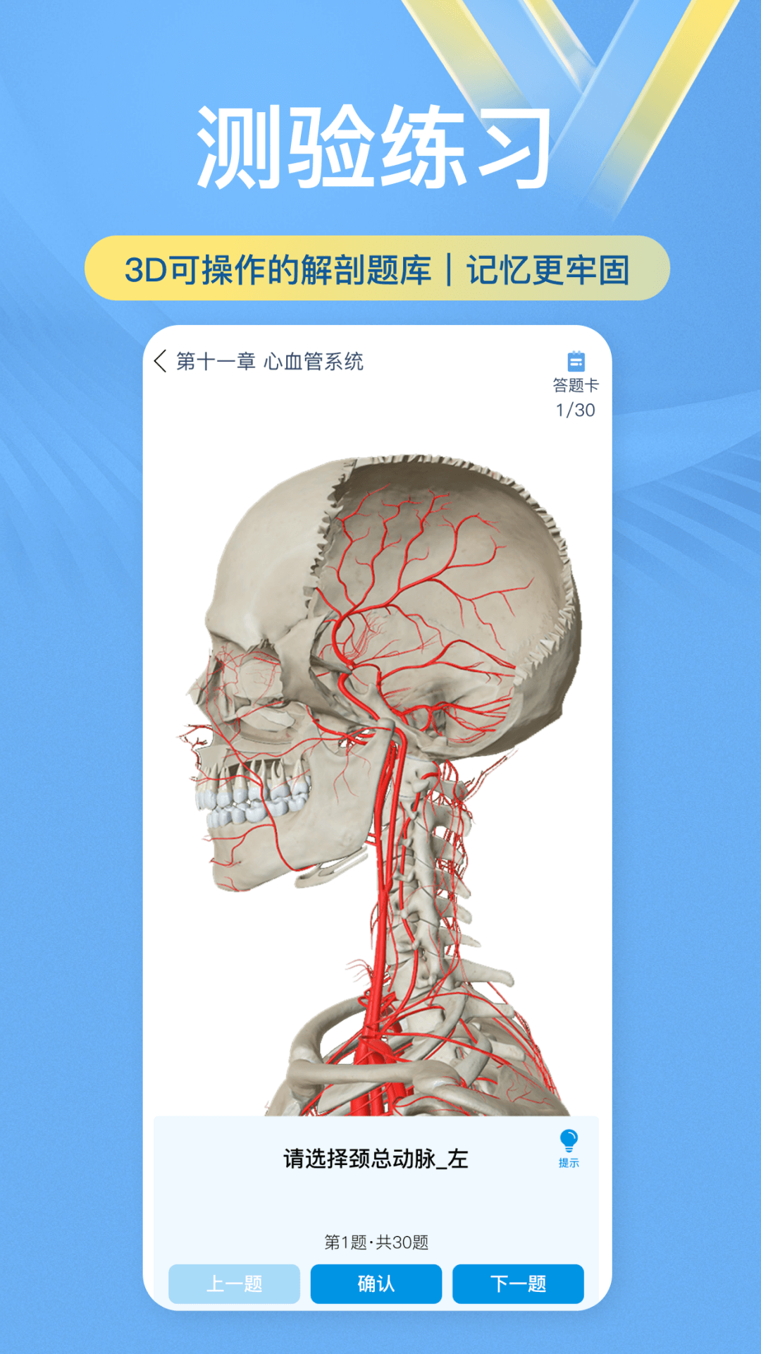維薩里3D解剖應(yīng)用新版