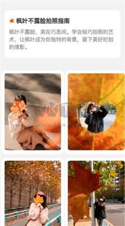 楓葉悅看app安卓最新版 v2.0.3