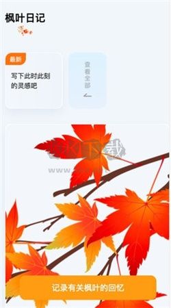 楓葉悅看app安卓最新版 v2.0.3