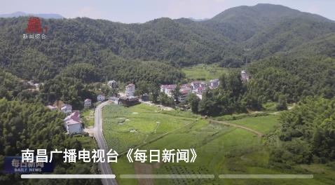 洪觀新聞客戶端