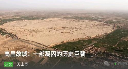 葡萄熟了app最新版