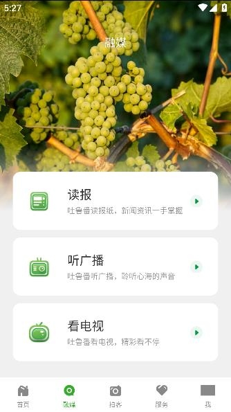 葡萄熟了app最新版