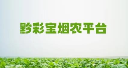 黔彩寶手機(jī)版下載