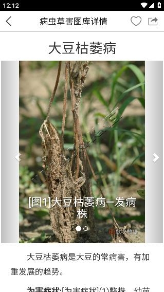 惠農(nóng)氣象app最新版